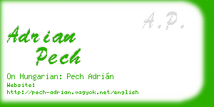 adrian pech business card
